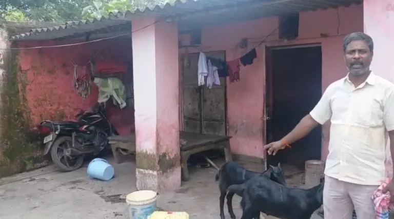धनबाद के नावाडीह में हथियार के बल पर मीट दुकान में लूट, 17 खस्सी चोरी कर ले गए बदमाश, वारदात CCTV में कैद …
